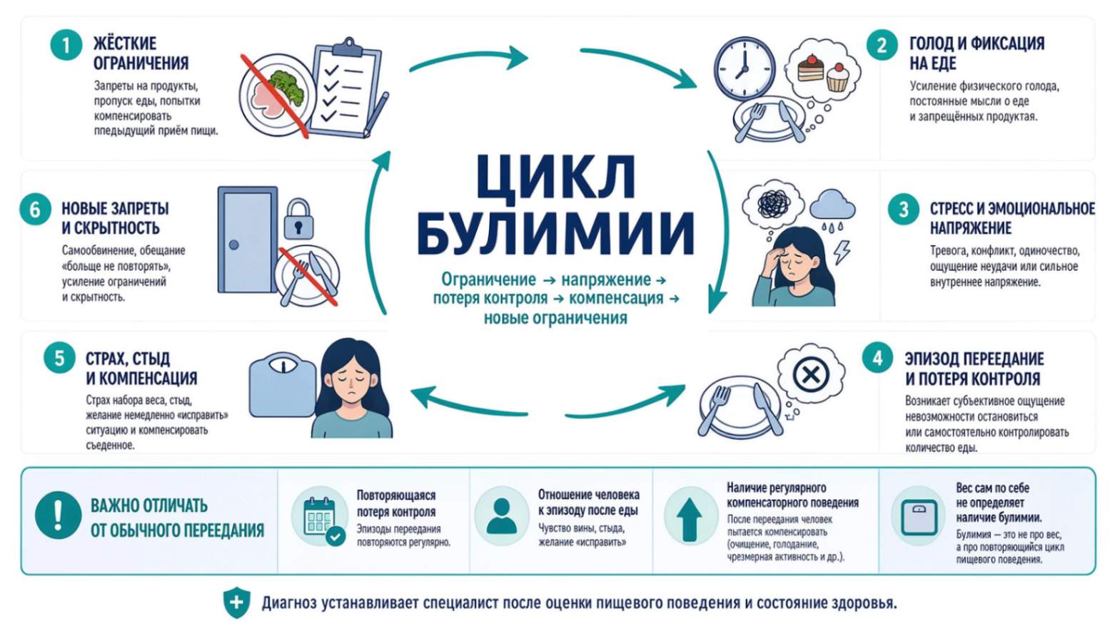 Инфографика о цикле булимии от жёстких ограничений и голода до переедания, компенсации и новых запретов
